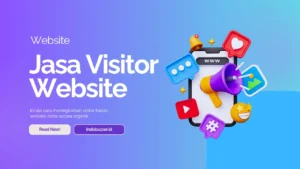 jasa visitor website organik